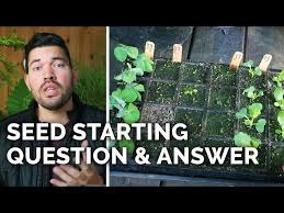 Answering 18 Of Your Seed Starting