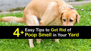 eliminate outdoor smells getting