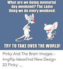 Brain refuses, but finds out later that pinky has taken the deal. What Are We Doing Memoria Day Weekend The Same Thing We Do Every Weekend Try To Take Over The World Imgtlpcom Pinky And The Brain Images Imgflip Ideasfind New Design 20