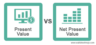 pv vs npv top 5 differences between