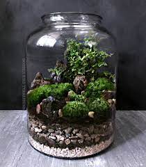 woodland moss and fern terrarium in