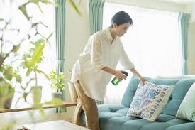 the 6 best upholstery cleaners