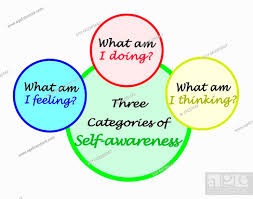 three categories of self awareness