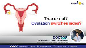 ovulation switches