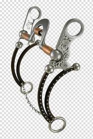 Find trusted horse spurs supplier and manufacturers that meet your business needs on exporthub.com source from global horse spurs manufacturers and suppliers. Horse Tack Tom Balding Bits Spurs Tack Shop Horse Transparent Background Png Clipart Hiclipart