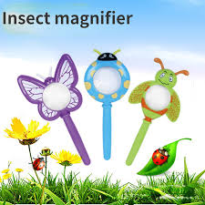 Handheld Magnifying Glass For Kids