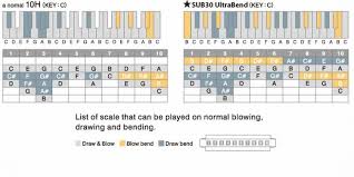 43 Bright Tremolo Harmonica Note Chart