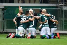 Resultado de imagem para palmeiras 30 milhões