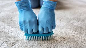 cost of professional carpet cleaning