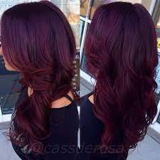 • first and foremost, we have burgundy hair. Dark Purple Red Hair Tumblr Google Search Hair Color Formulas Hair Color Purple Burgundy Hair Dye
