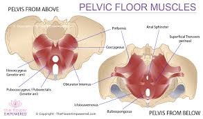 pelvic floor pain patient success