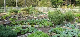 How To Create A Vegetable Garden On A Slope