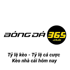 Karaoke Chuyện Hoa Sim