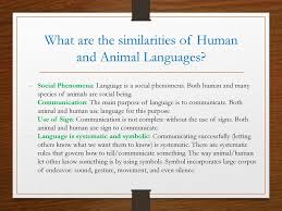 Timothy jay explains that human. Chapter 2 Animal And Human Language Ppt Download