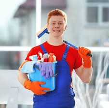 fantasy cleaning service