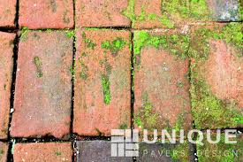 If your knees can take it, you can also use a scouring pad or wire hand brush to loosen up any dirt, stains, and grime. Identifying Different Stains On Your Pavers Unique Pavers Design