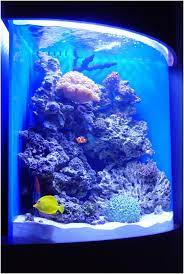 Buy your planted freshwater fish tank or saltwater reef aquarium . Fs Tenecor Acrylic 70g Corner Setup Reef2reef Saltwater And Reef Aquarium Forum