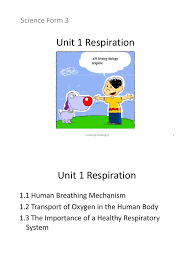 Documents similar to form 3 science , chapter 1. Form 3 Science Chapter 1 Respiratory Tract Breathing