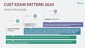 cuet exam pattern 2024 subjects wise
