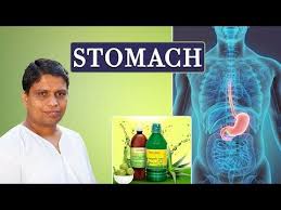 ayurvedic treatment for stomach pain