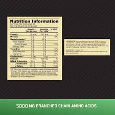 optimum nutrition bcaa 5000 powder