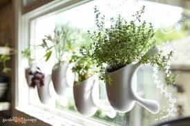 One of the best, most convenient places to grow your herbs is right in your kitchen. Say Goodbye To The Winter Blues With A Diy Window Herb Garden Garden Therapy