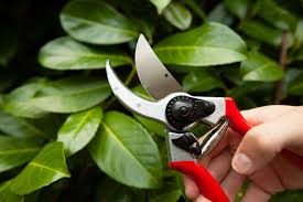 the 10 best gardening tools of 2023