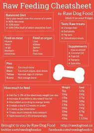 Download Your Free Raw Feeding Cheatsheet Perfect For