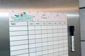 Magnetic Daily Tasks Rewards Chart Customizable Dry Erase Reward Chart Reward Kids For Good Behavior And Manners Girls Behavior Chart