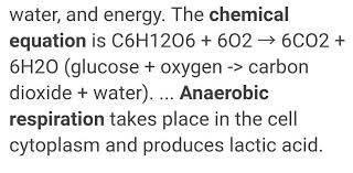 Write The Chemical Equation For Aerobic