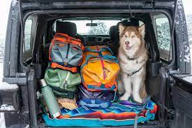 The Ultimate Guide to Vacationing with Pets: Essential Packing List an –  Eagle Creek