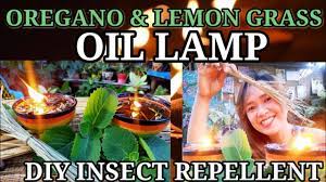 diy insect repellent oil l oregano