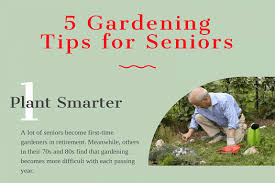 5 gardening tips for seniors infographic