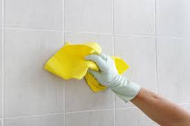 Avoid Health Concerns by Investing in Professional Tile Cleaning Services