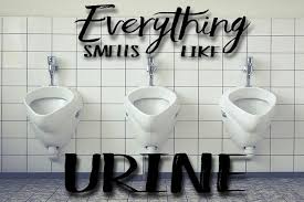 Bathroom Urinal Cleaning Urine Smells
