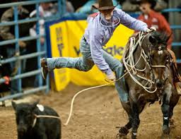 Image result for calf roping photos
