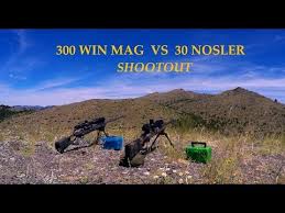 300 Win Mag Vs 30 Nosler Shootout