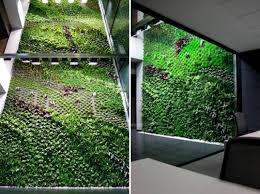 If you live in a place with extreme weather condition, then you can turn one of the walls of your home into an indoor. Spain S Largest Vertical Garden Cleans Indoor Office Air