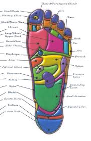 Reflexology Pressure Point Chart Bottom Of The Right Foot
