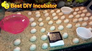 10 inventive diy incubator designs that