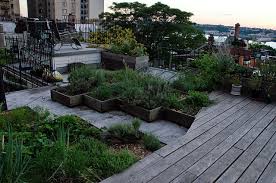 How To Create A Roof Garden In Nyc