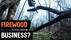 Proper manure and mortality management is essential for profitable production and environmental protection. Firewood Business Is It Worth It Youtube