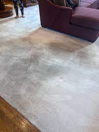 carpet cleaners reviews