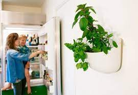 The Big List Of Self Watering Planters