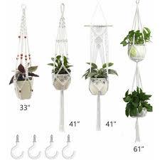Plant Hangers Set Of 4 Indoor Wall
