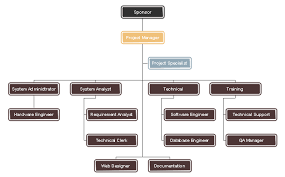 The Functional Project Team Organizational Chart Reveals The