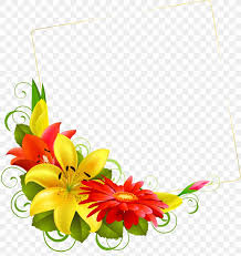 flowers background png 6000x6361px