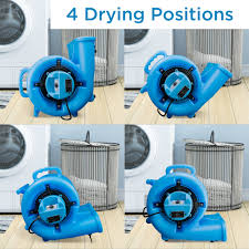 danby 1 2 hp air mover in blue