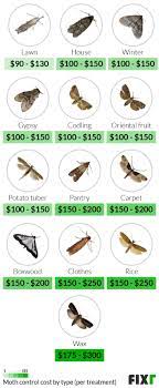 fixr com moth extermination costs