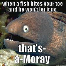 Want some Moray? - quickmeme